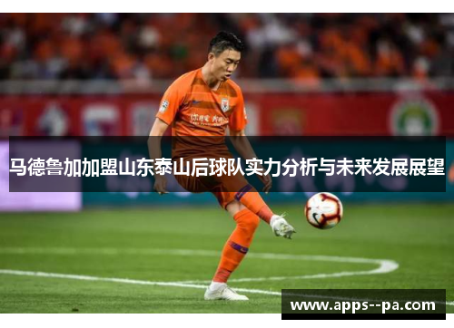 马德鲁加加盟山东泰山后球队实力分析与未来发展展望
